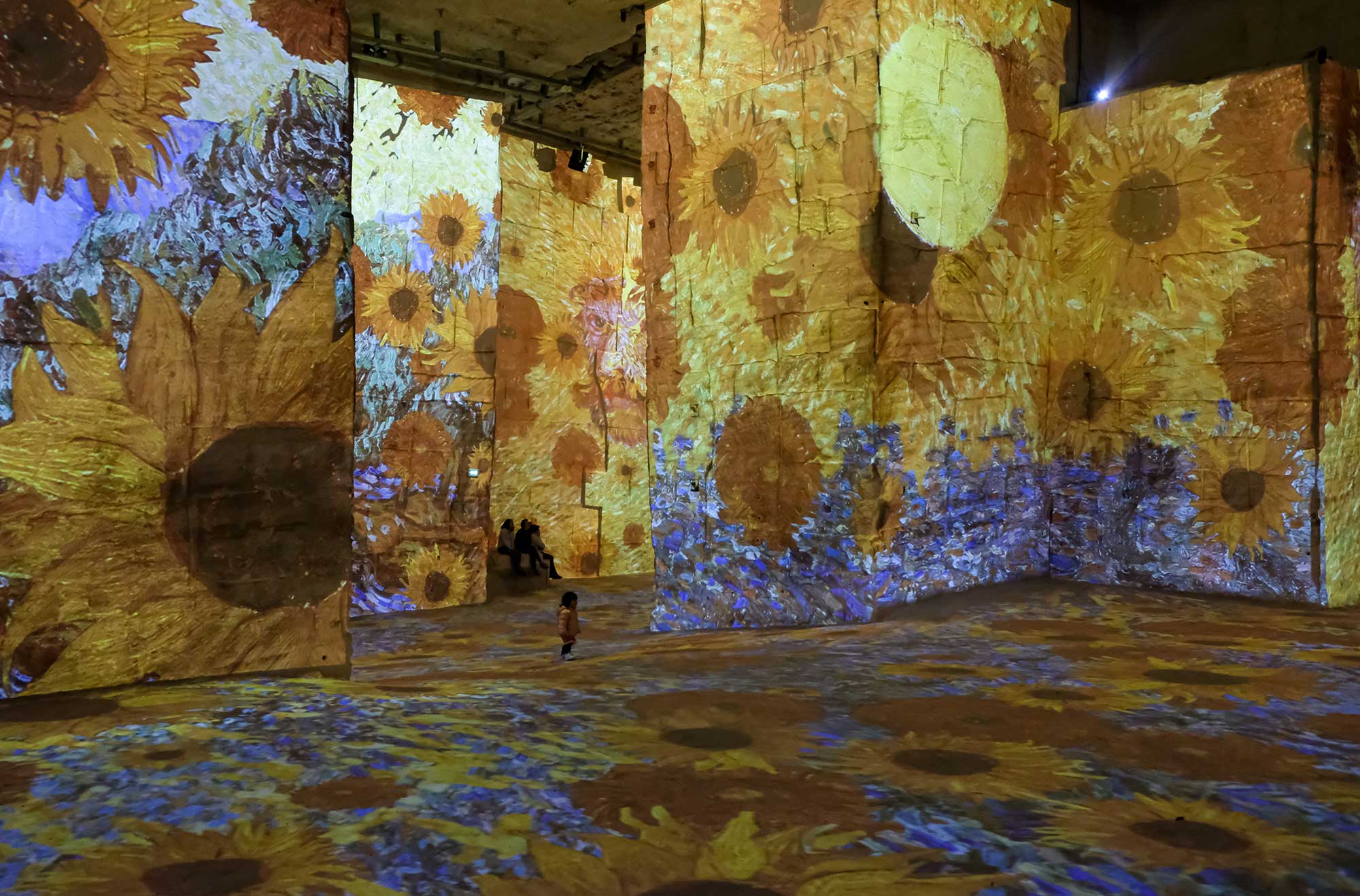 bastide-des-oliviers-carriere-de-lumiere-baux-de-provence